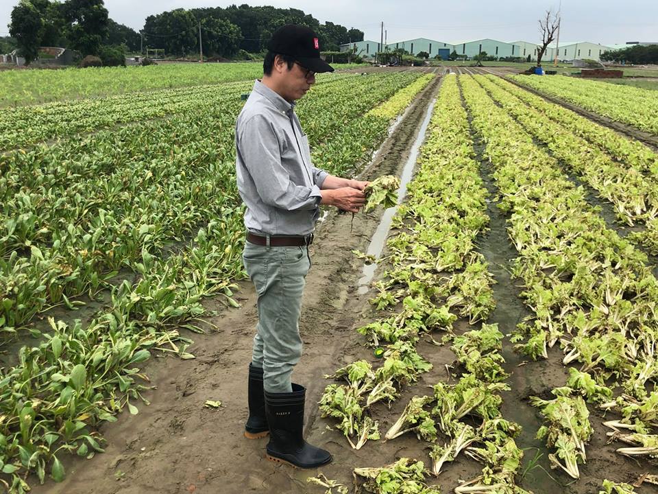 陳其邁今（26）日早上前往梓官、永安關心災情及農損。 圖：陳其邁辦公室提供