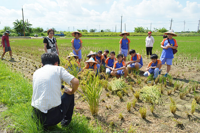 推動食農教育，台中市議會三讀通過「台中市食農教育自治條例草案」，引導民眾健康飲食習慣。 圖：翻攝自菁寮國小