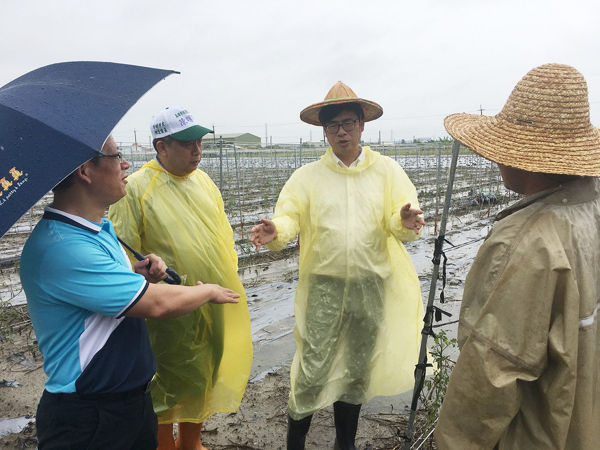 陳其邁今日一早與陳明澤議員前往路竹區下坑里關心雨後農損災情。 圖/陳其邁選辦