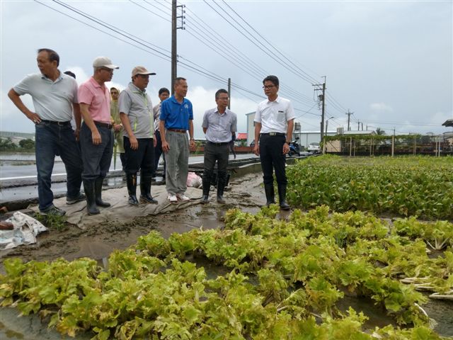 農委會主委林聰賢日前南下勘察大雨過後的梓官蔬菜種植情況。 圖：高雄市農業局/提供
