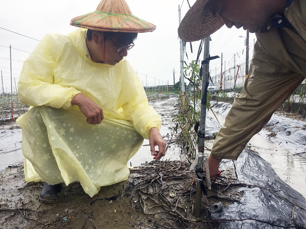 8月27日，陳其邁前往高雄路竹下坑里關心當地番茄園番茄災損情況，協調區公所協助農民加速彙整農損情形。 圖:陳其邁臉書
