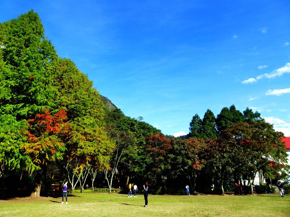 奧萬大的風景令人陶醉，是適合旅遊的好去處。 圖：奧萬大情報站臉書