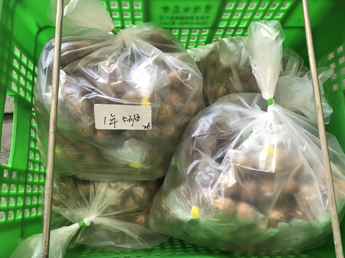 農業局指出，配合學校及學生教學作業，各國小配送以每週二、各國中配送以每週四為原則。  圖：台中市政府/提供
