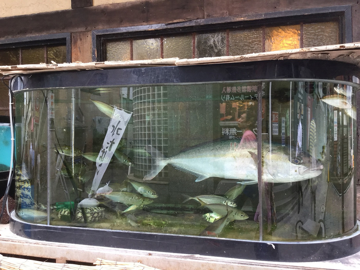 北海道地震震度6，已有3人死亡、數十人失蹤，及多人活埋 圖：劉黎兒翻拍自朝日新聞網路