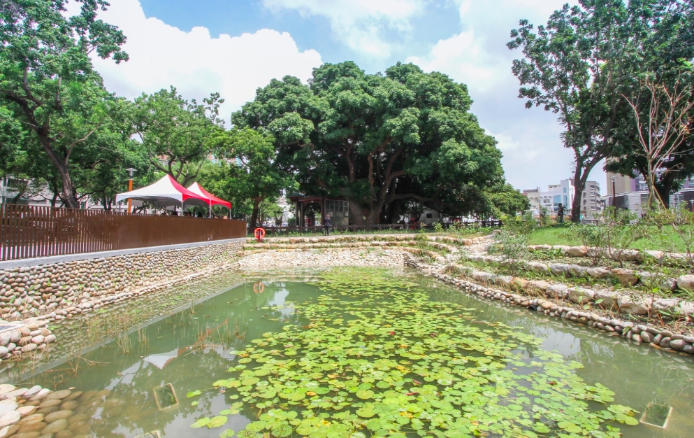 「茄苳樹王文化生態公園」今(7)日正式啟用。 圖：台中市政府/提供
