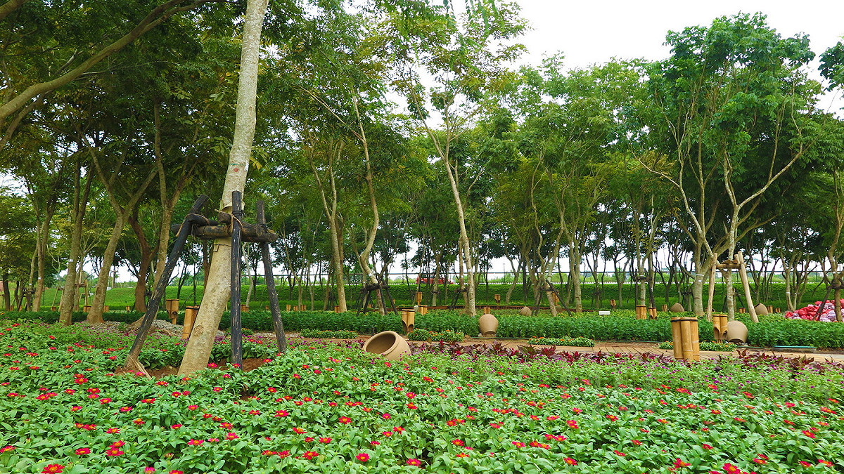 無患子花道已陸續完成草花種植。 圖：台中市政府/提供