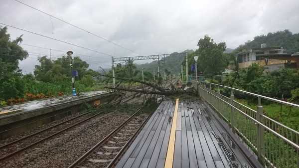 山竹颱風吹倒台東山里車站大樹。 圖：台鐵/提供
