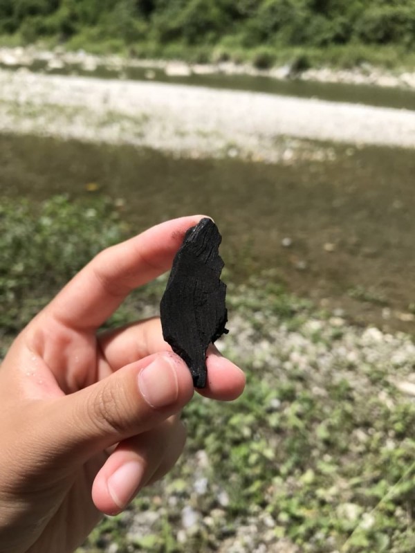 台灣形狀木炭。 圖：翻攝自Dcard