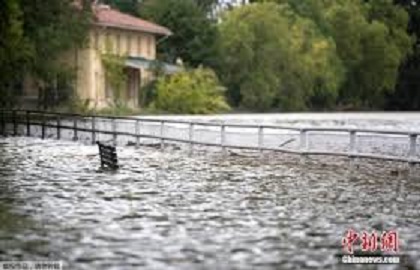 颶風佛羅倫斯（Florence）造成340萬隻家禽、5500頭豬隻死亡。 圖 : 翻攝自中新網