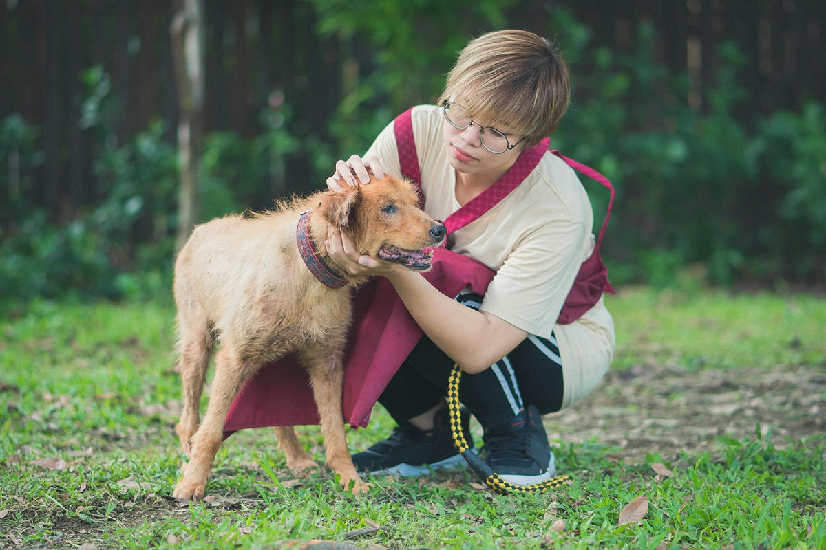 失智老犬若不明原因朝空氣亂叫時需要適時前去安撫秀秀。 圖：新北市動保處/提供