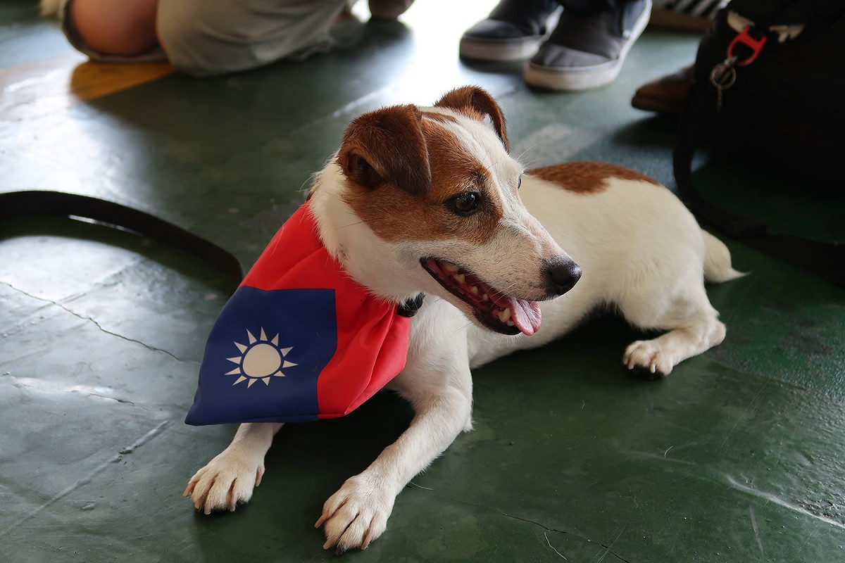 台灣有7隻搜救犬受聯合國認證，樂樂就是其中之一。 圖：林朝億/攝