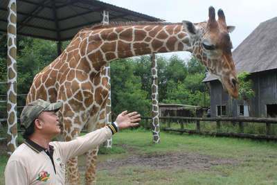 台北市立動物園兩名獸醫師與台灣大學獸醫系3名專家今天南下到頑皮世界動物園，與園方獸醫師會同解剖；初步在宵順的食道、氣管、肺部發現嘔吐物，研判死因疑似為氣管遭異物噎住。 圖：中央社（資料照片）