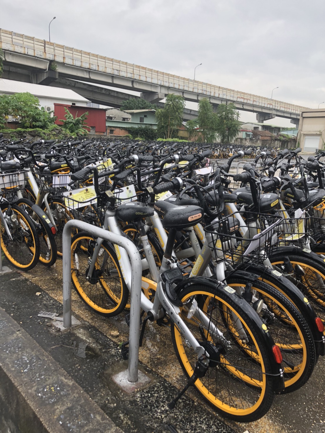 丁守中上午到台大自行車拖吊場，逾千輛oBike停置在這裡，宛如「單車墳場」。 圖：丁守中辦公室提供