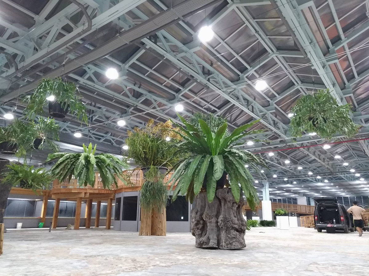 花博外埔園區智農館 辜嚴倬雲保種中心展出上千珍稀植物。 圖：台中市政府/提供