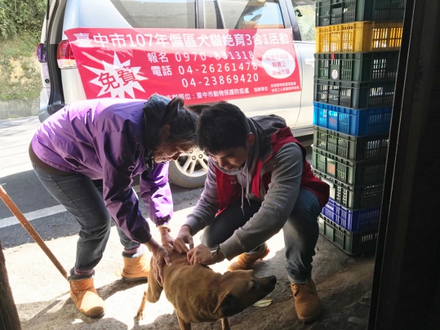 明（4）日為「世界動物日」，台中市動物保護防疫處自10月1日起進駐和平山區，深入部落逐戶宣導飼主責任，並將於10月5、6、7日舉辦免費犬貓狂犬病疫苗注射、寵物登記、絕育手術及認養4合1活動。 圖：台中市動物保護防疫處/提供