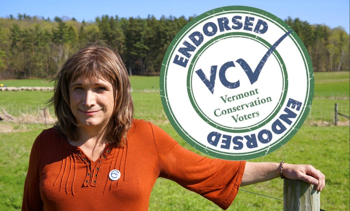 62歲的郝爾奎斯特（Christine Hallquist）來自佛蒙特州，可能將成為美國首位跨性別州長。 圖：翻攝Christine Hallquist推特