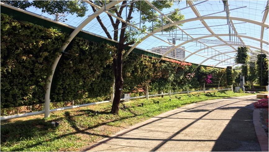 花廊道以多元色彩植栽及攀爬植物，營造繽紛浪漫氣息。 圖：台中市政府／提供