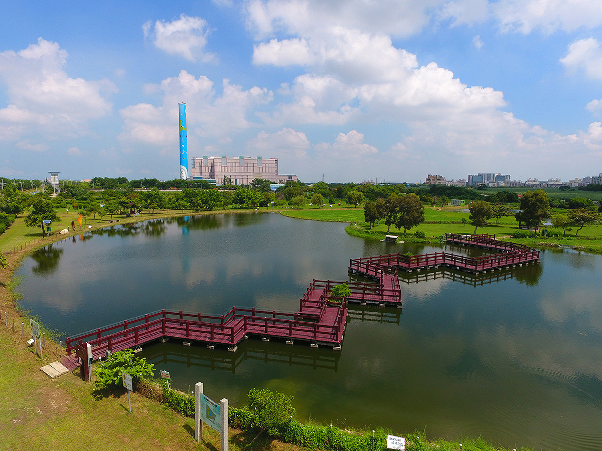 嘉義縣焚化廠旁的荷苞嶼濕地公園，最近發現台灣水雉築巢育雛的蹤跡。 圖：嘉義縣政府／提供