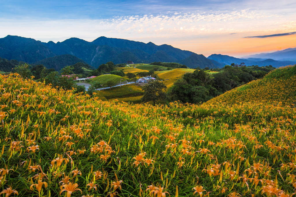 花蓮六十石山黃昏的美景，在日治時期，六十石山本是一片繁茂的樟樹林，為了煉製樟腦而被砍伐一空，結果發現在空曠的山坡上，散佈著60塊巨大的石頭，所以這裡被命名為六十石（ㄕˊ）山。 圖：截自花東縱谷國家風景區網站