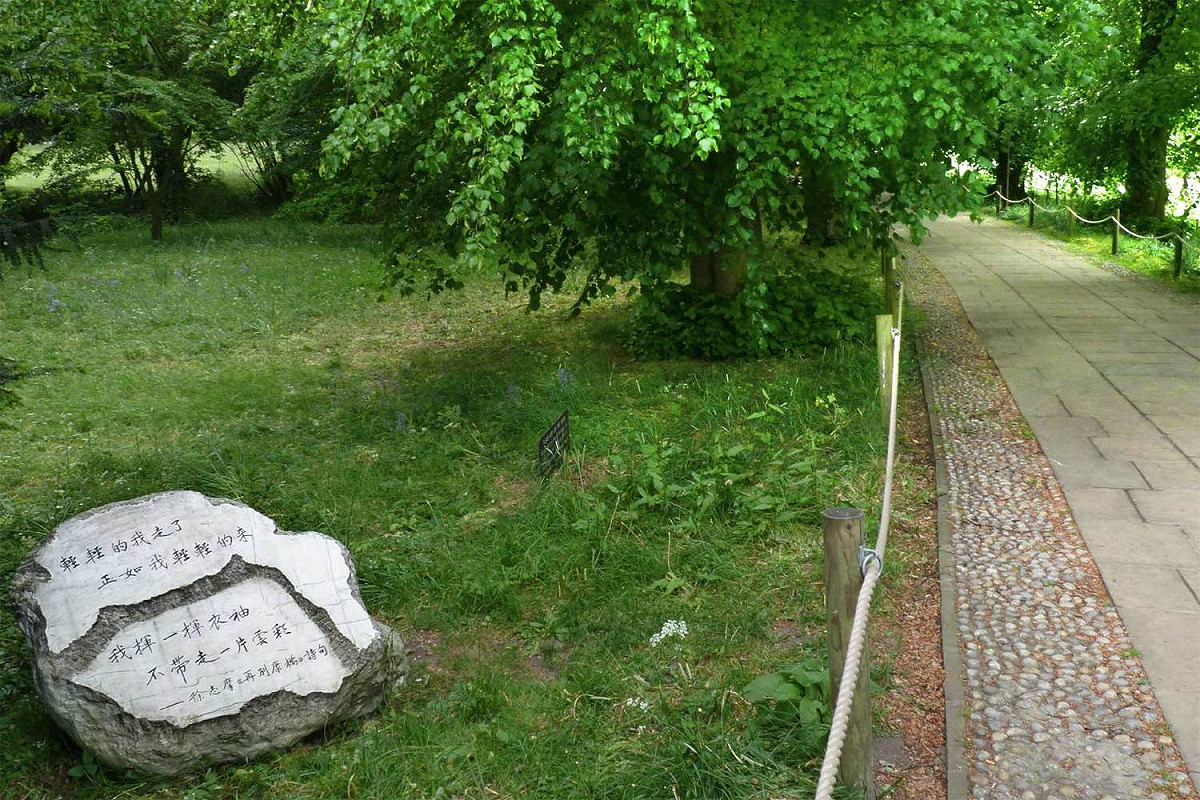 有幸來英國旅遊的中國人，多數一定要去一趟劍橋。到了劍橋的中國遊客，一定要抱著康河邊的老柳，甚至坐到樹杈上照一張，「儘管此柳可能已經非彼柳」。中國遊團散客，公費自費，一波接一波，接踵而至，「老柳樹受不了了，劍橋受不了了」，BBC如此形容著。 圖：翻攝自維基百科