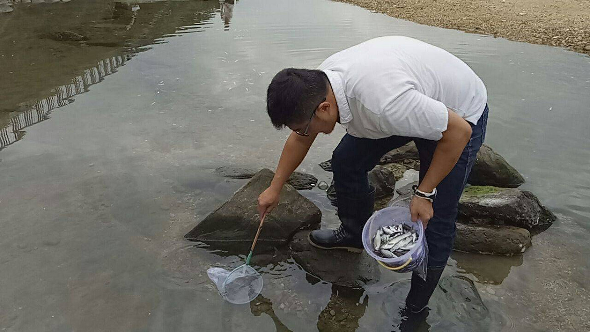 環保人員現場打撈魚屍。 圖 : 基隆市政府/提供