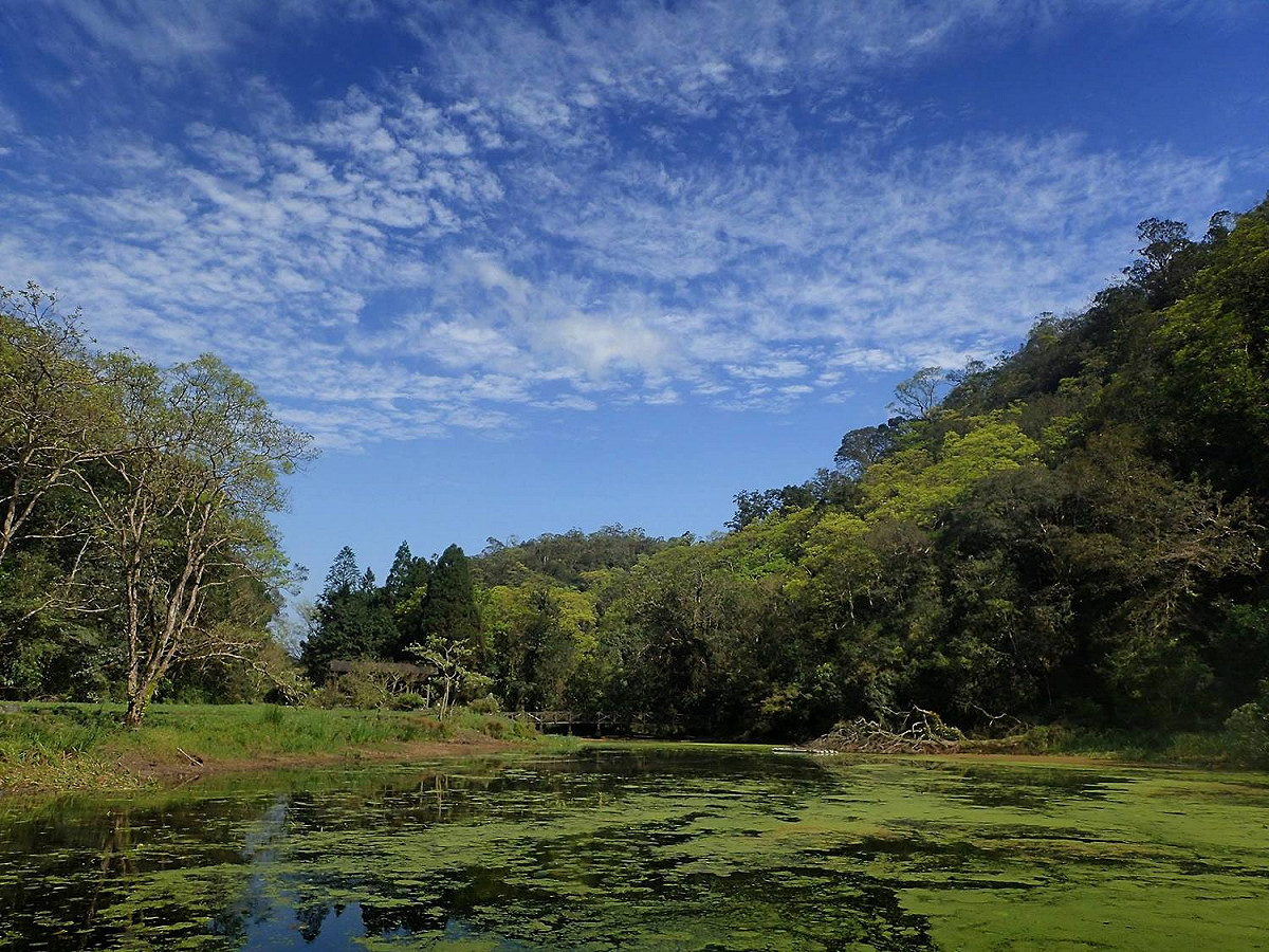 福山植物園水生植物池 圖：行政院農業委員會/提供