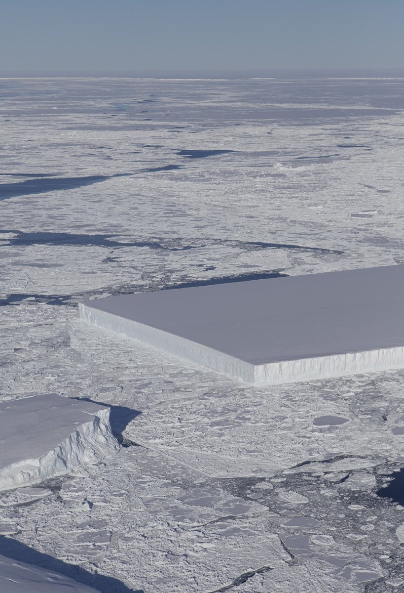 美國國家航空暨太空總署（NASA）日前公布了一張攝於南極的「矩形冰山」照片，照片中位於南極拉森冰架（Larsen Ice Shelf）區域，出現了一座方方正正，宛如用工具切好一般工整的冰山。 圖：翻攝自NASA ICE推特
