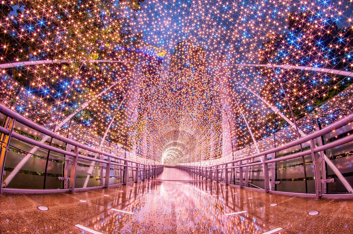 紅粉星橋。 圖：新北市政府／提供
