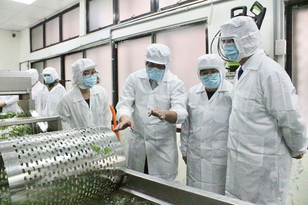 國際有機農業聯盟亞洲分部主席周澤江 (右一)，穿上隔離衣赴新北有機截切場參訪。 圖：王峻昌/攝