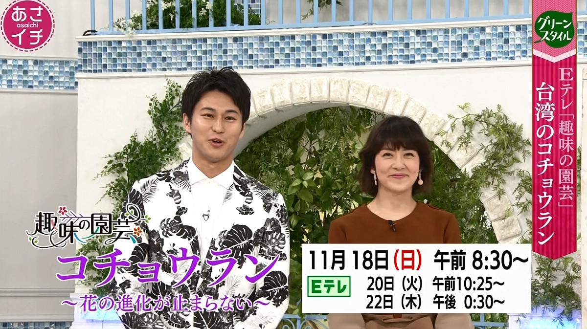 日本NHK節目「早市」邀請園藝王子三上博史，介紹台中花博。 圖：台中市政府/提供