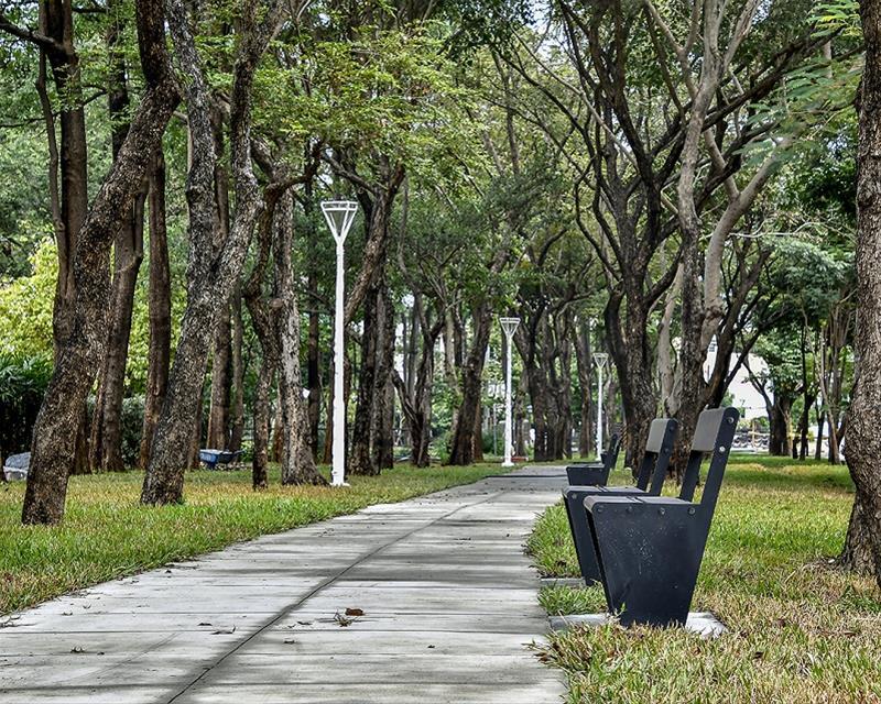 便捷的步道引領民眾親近美景。 圖：高雄市政府工務局／提供