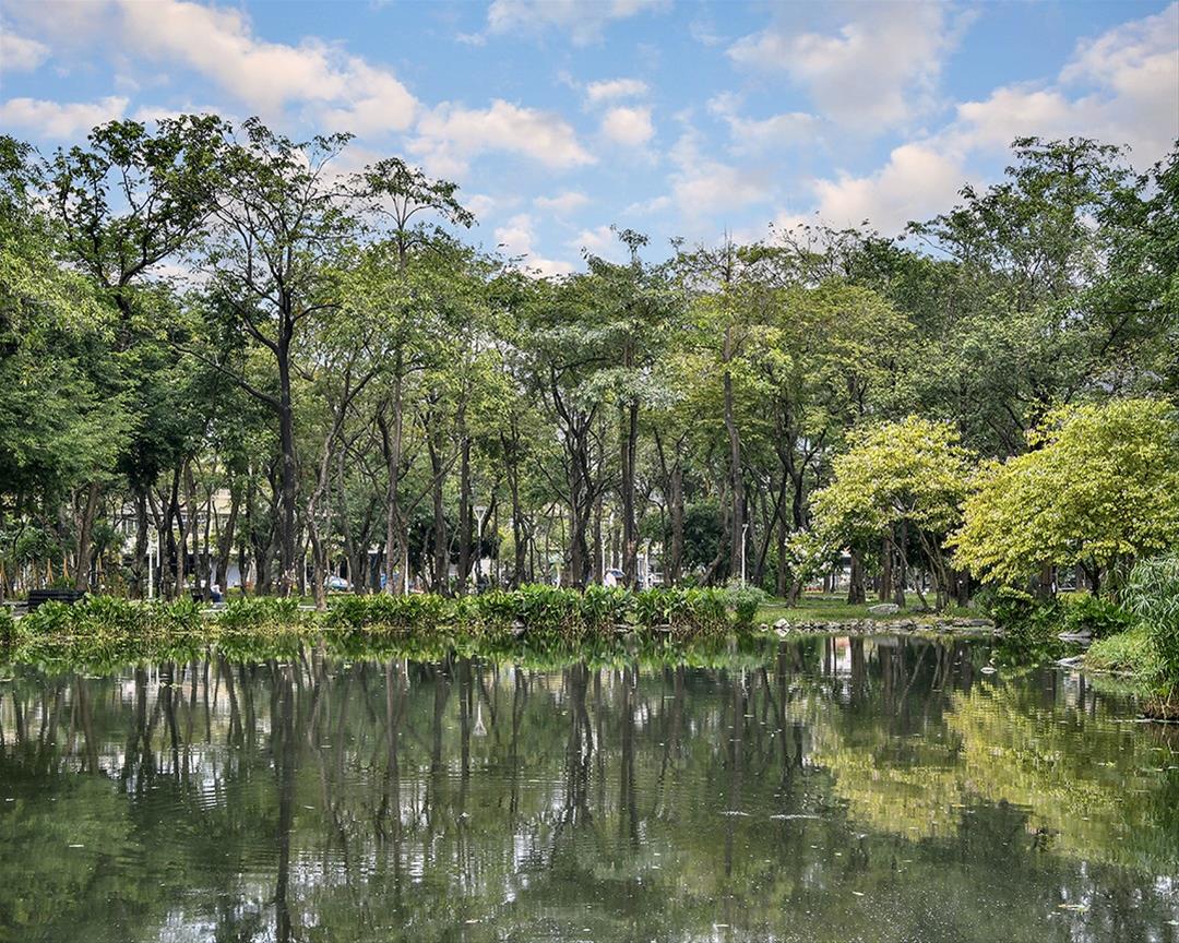 大東濕地公園充滿綠意。 圖：高雄市政府工務局／提供