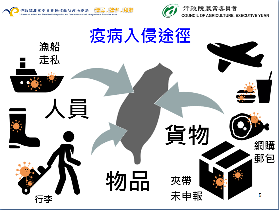 非洲豬瘟入侵途徑。 圖：農委會提供