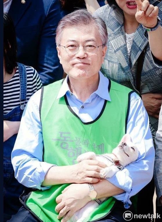 金正恩送的狗生6隻狗寶寶 圖: 翻攝自青瓦台推特