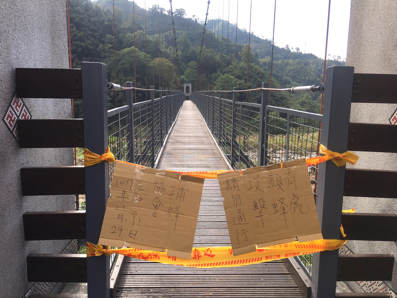 苗栗縣南庄鄉東河吊橋29日發生虎頭蜂攻擊遊客事件，4人遭螫傷送醫，警方已會同義消暫時封鎖吊橋出入口，清空遊客，並掛上「有虎頭蜂攻擊 請勿通行」告示牌。 圖 : 中央社
