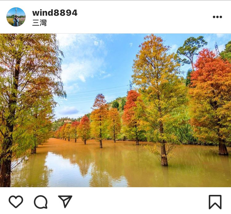 「三灣落羽松森林」是近期IG上熱門的打卡景點。 圖：翻攝自instagram／wind8894 開放權限