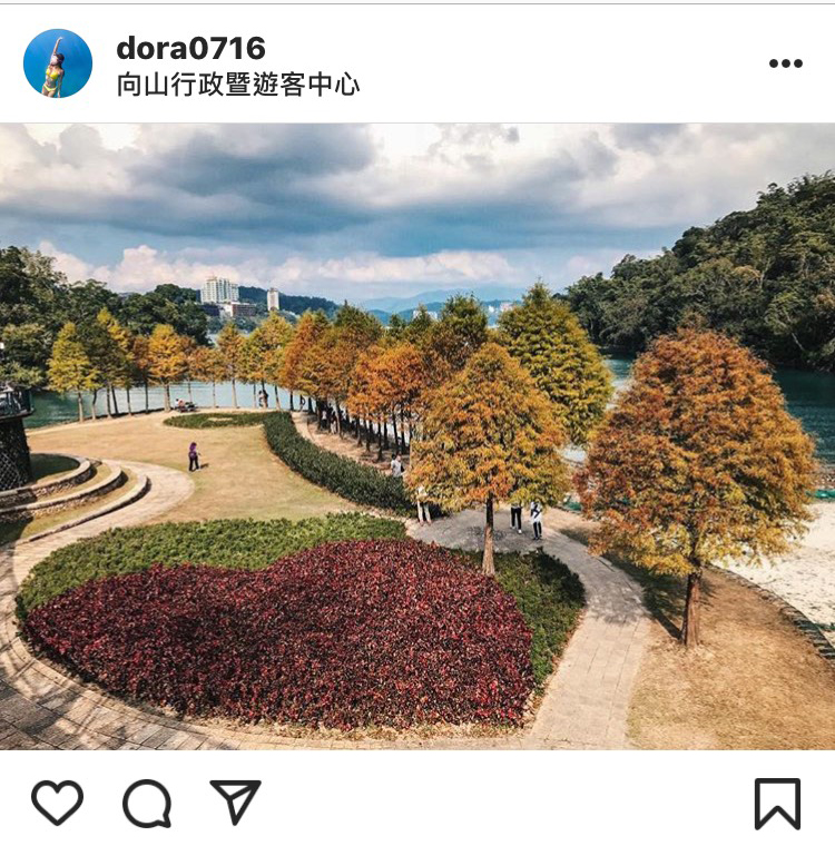 「向山遊客中心」橘黃的落羽松搭配湖景，別有一番風味。 圖：翻攝自instagram／dora0716 開放權限