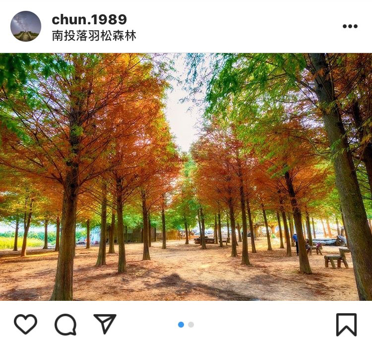 「南投落羽松森林」的景色，就如同來到韓劇的場景般，十分浪漫。 圖：翻攝自instagram／chun.1989 開放權限