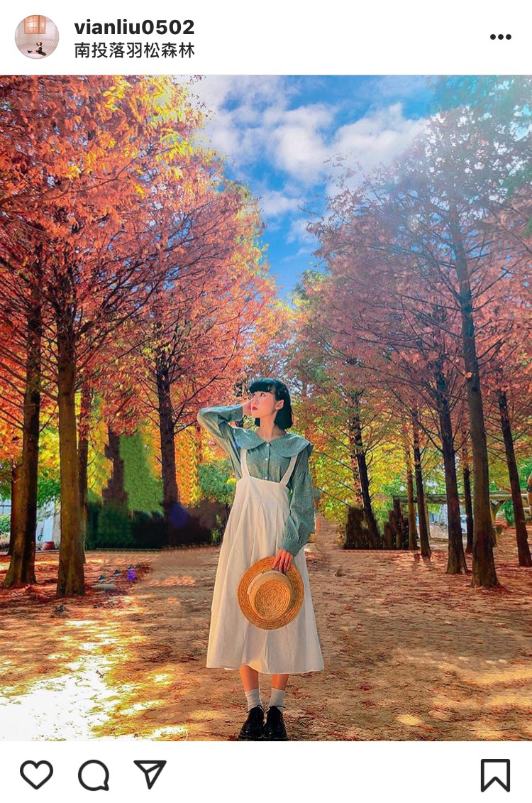 「南投落羽松森林」地面上有許多木雕的裝置，模樣十分可愛。 圖：翻攝自instagram／vianliu0502 開放權限