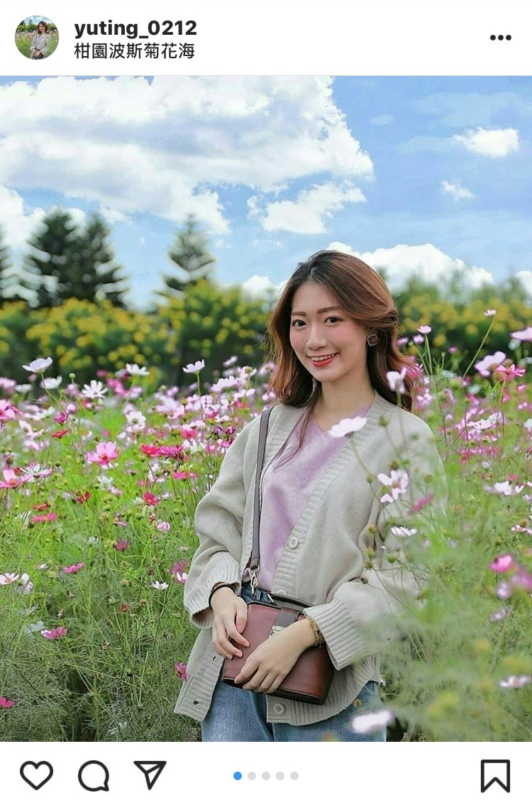 柑園波斯菊花海的美景，吸引許多民眾前往朝聖。 圖：翻攝自instagram yuting_0212／開放權限