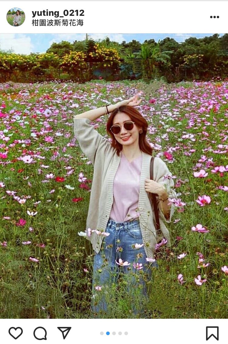 柑園波斯菊花海，雖便拍都很美！ 圖：翻攝自instagram yuting_0212／開放權限
