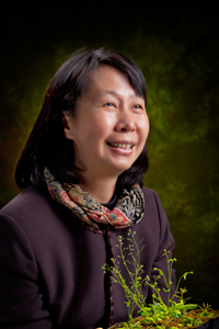 分子生物研究所李秀敏特聘研究員的團隊歷時七年，成功解開「葉綠體運作」之謎，使得植物界演化史有新進展。 圖：取自中研院/官網
