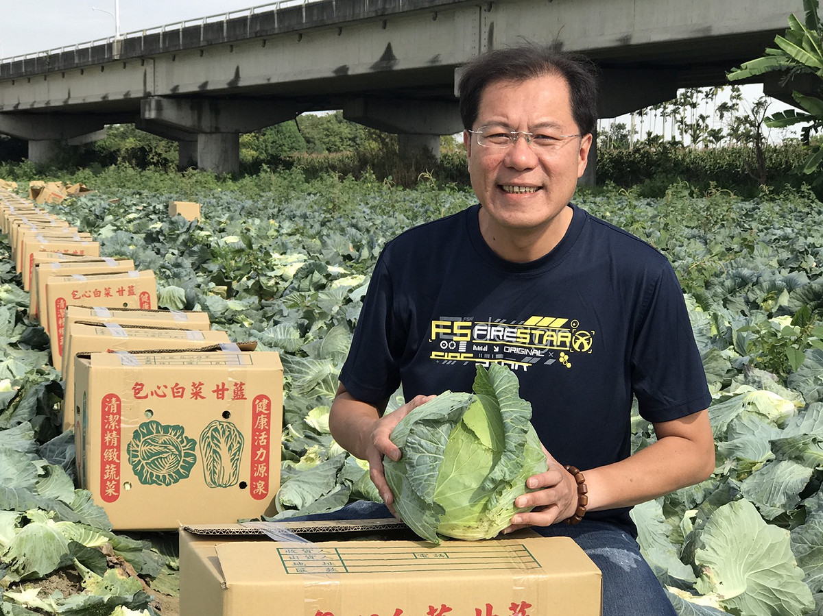 吳芳銘自選後以來，連續10多日協助農民自產地直銷，揀挑優良高麗菜裝箱。 圖：吳芳銘／提供