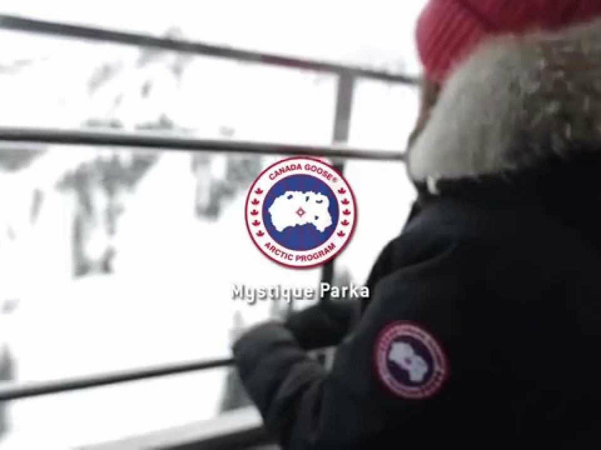 「加拿大鵝」（Canada Goose）是知名的服裝奢侈品牌。 圖：翻攝自Youtube