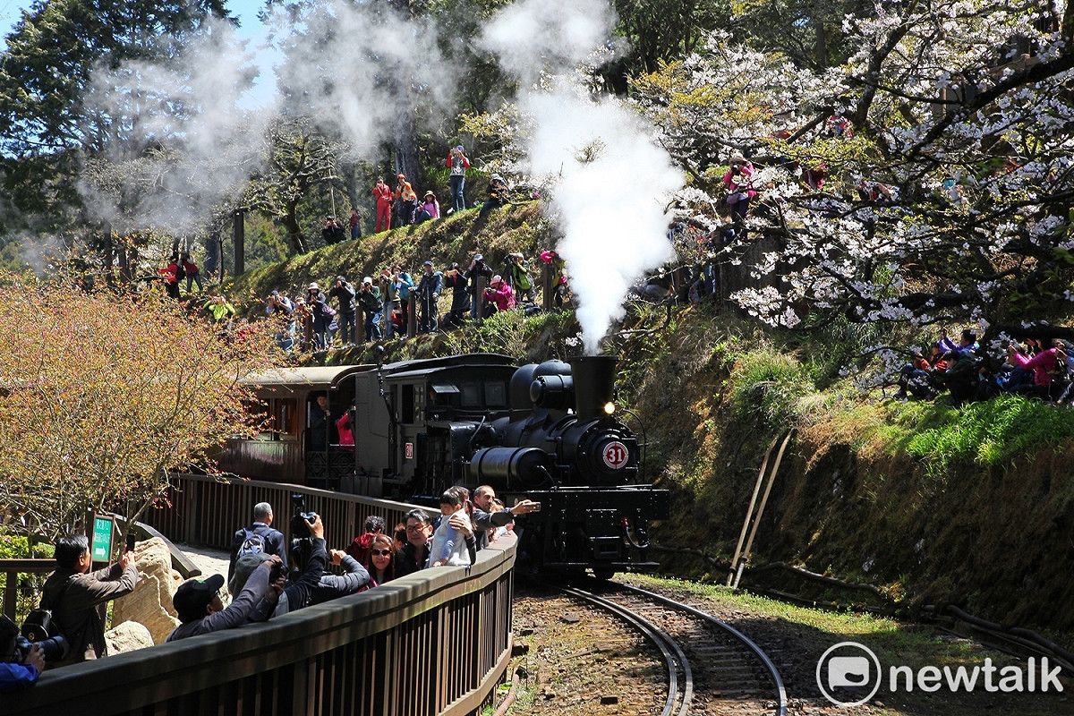 林務局阿里山林業鐵路及文化資產管理處今年首度推出「聖誕主題列車」。 圖：阿里山林鐵文資處／提供