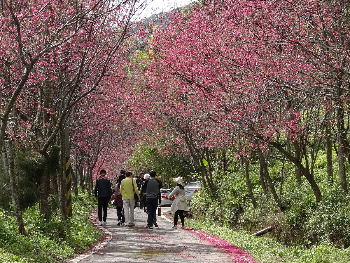 花蓮縣鳯林鎮。 圖：交通部觀光局／提供