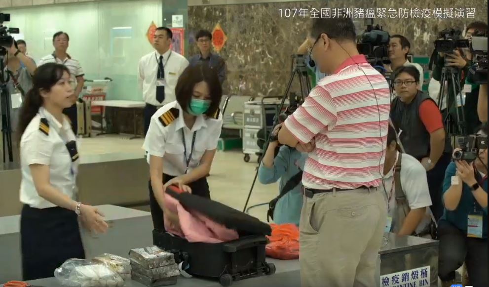 今（26）日非洲豬瘟緊急防檢疫模擬演習，演練查獲違規攜肉之狀況。 圖：防檢局直播畫面