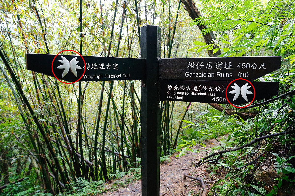 大家行經岔路時，跟著淡蘭古道的標誌走，就不用怕走錯路了！ 圖：新北市政府／提供