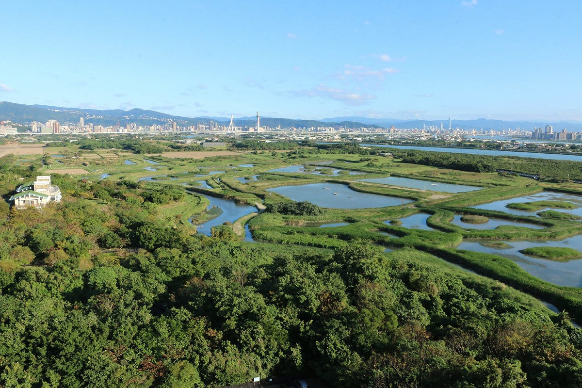 濕地風貌 圖：台北市動保處/提供