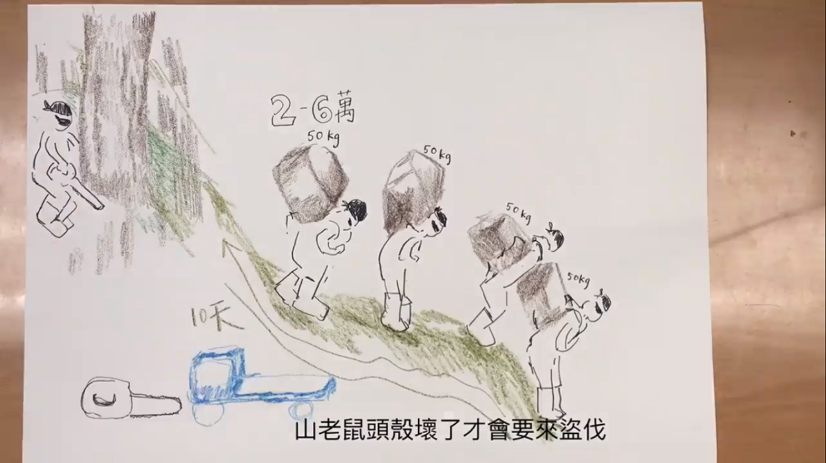 林務局貼出手繪影片解釋公開原始檜木林影像紀錄的初衷。 圖：翻攝自林務局影片